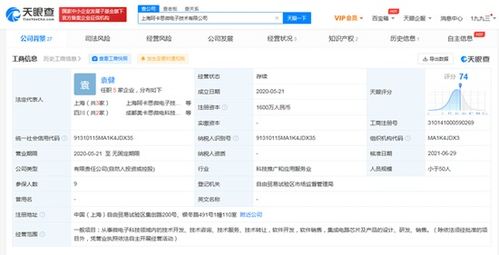 華為入股芯片設計公司，深化集成電路產業鏈布局
